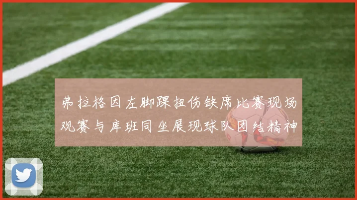 弗拉格因左脚踝扭伤缺席比赛现场观赛与库班同坐展现球队团结精神