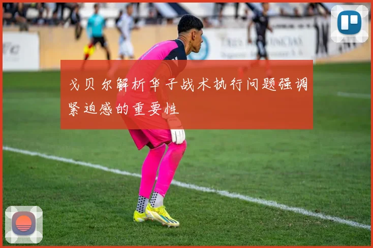 戈贝尔解析华子战术执行问题强调紧迫感的重要性